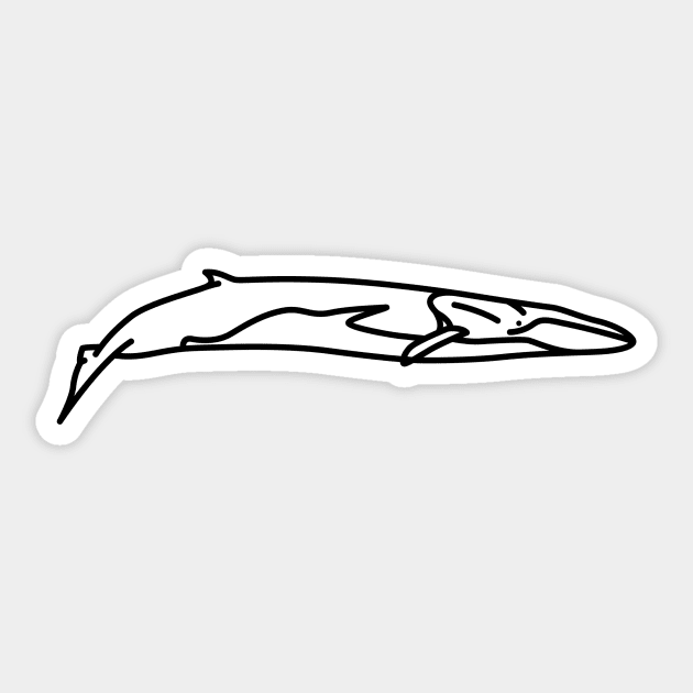 Fin Whale Sticker by Radradrad